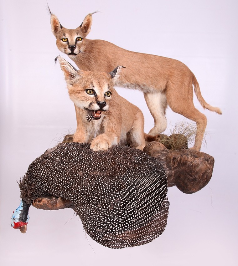 Scene Mounts