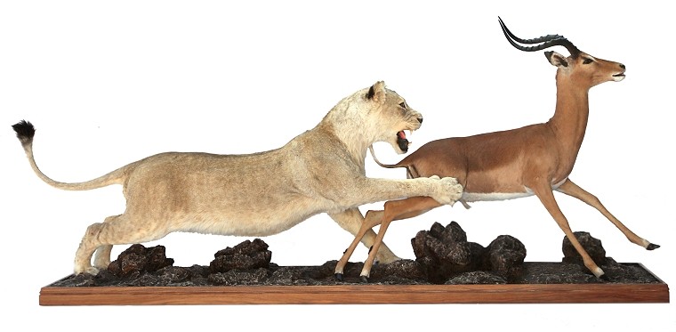 Scene Mounts